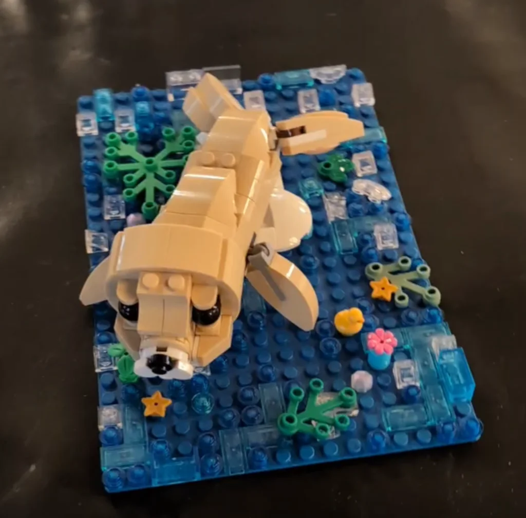 Build No. 12 Seal in the sea